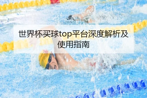 世界杯买球top平台深度解析及使用指南