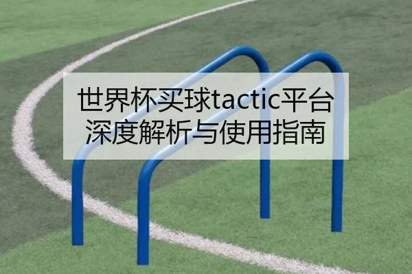 世界杯买球tactic平台深度解析与使用指南