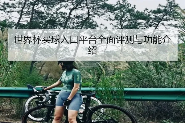 世界杯买球入口平台全面评测与功能介绍
