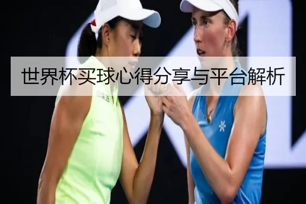 世界杯买球心得分享与平台解析
