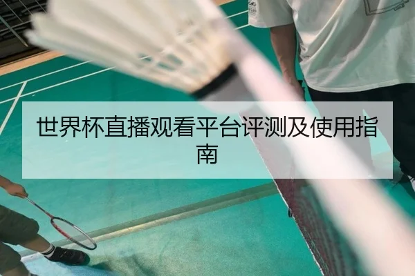世界杯直播观看平台评测及使用指南