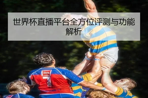 世界杯直播平台全方位评测与功能解析
