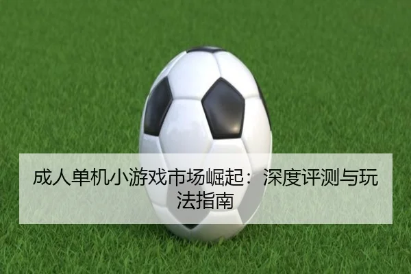 成人单机小游戏市场崛起：深度评测与玩法指南