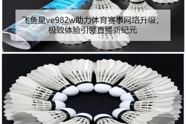 飞鱼星ve982w助力体育赛事网络升级，极致体验引领直播新纪元