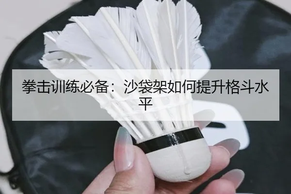 拳击训练必备：沙袋架如何提升格斗水平